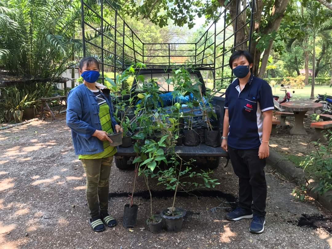 ศูนย์กสิกรรมธรรมชาติ เคเอสแอล ริเวอร์แคว สนับสนุนพันธุ์ไม้แก่ชาวบ้านชุมชนบ้านสำนักเย็น