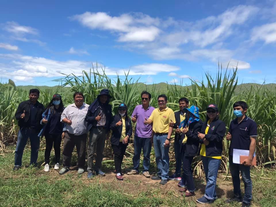 บริษัท โรงงานน้ำตาลนิวกรุงไทย จำกัด ต้อนรับคณะกรรมการสอน. ในการเข้าสัมภาษณ์คัดเลือกชาวไร่อ้อยดีเด่นประจำปี 2563 ในเรื่องการบริหารจัดการไร่อ้อยเป็นมิตรกับสิ่งแวดล้อม