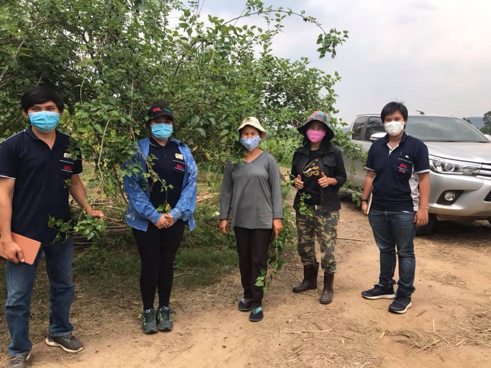 ศูนย์กสิกรรมธรรมชาติฯ และโรงงานน้ำตาลนิวกรุงไทย จำกัด ลงพื้นที่ส่งเสริมการปลูกอ้อยอินทรีย์ จ.กาญจนบุรี