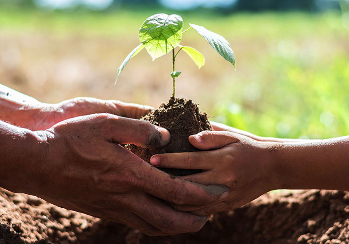 Bio-Fertilizer